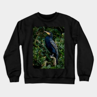 OAKEY COKEY CORMORANT Crewneck Sweatshirt